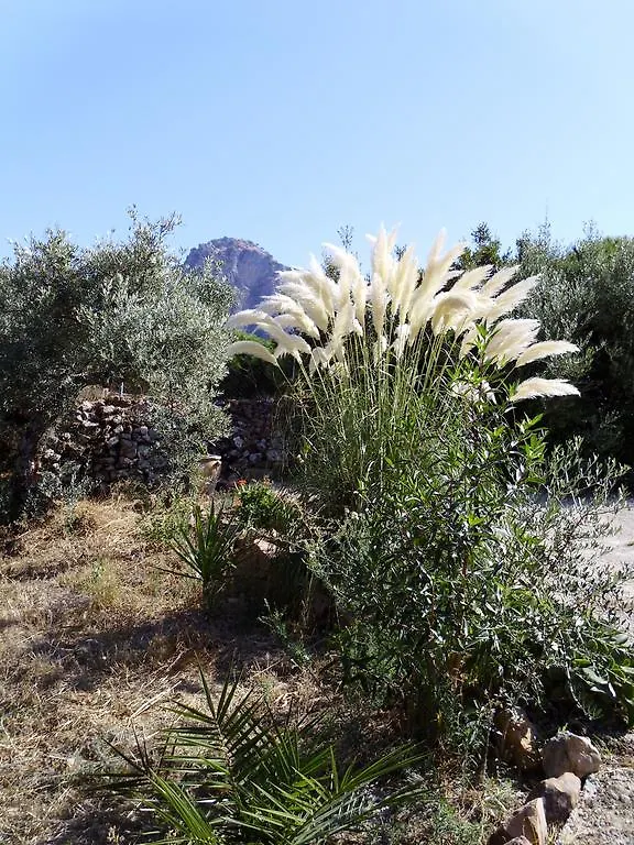 Balcon Al Valle El Gastor Spanien